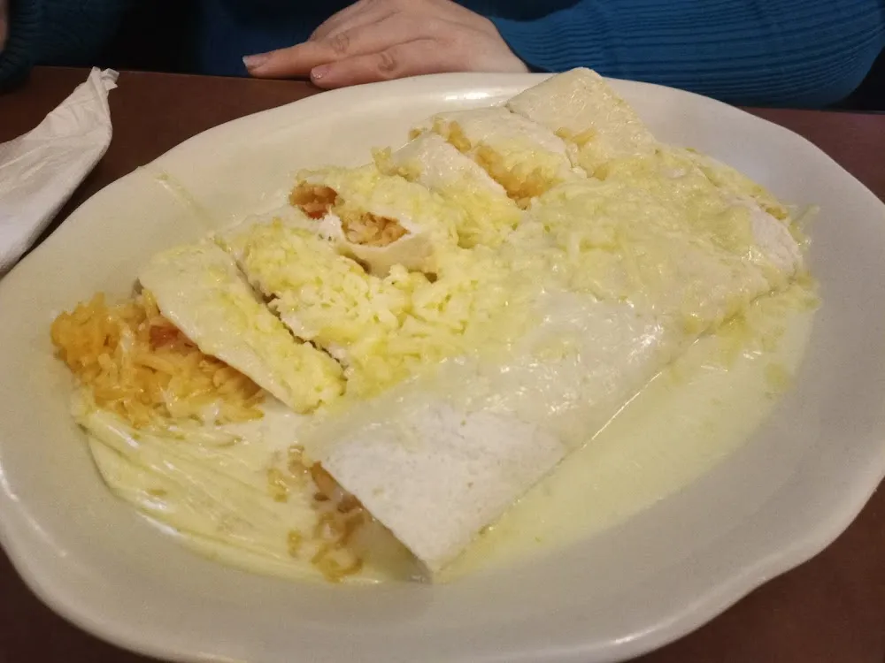 Rice Burrito Deluxe